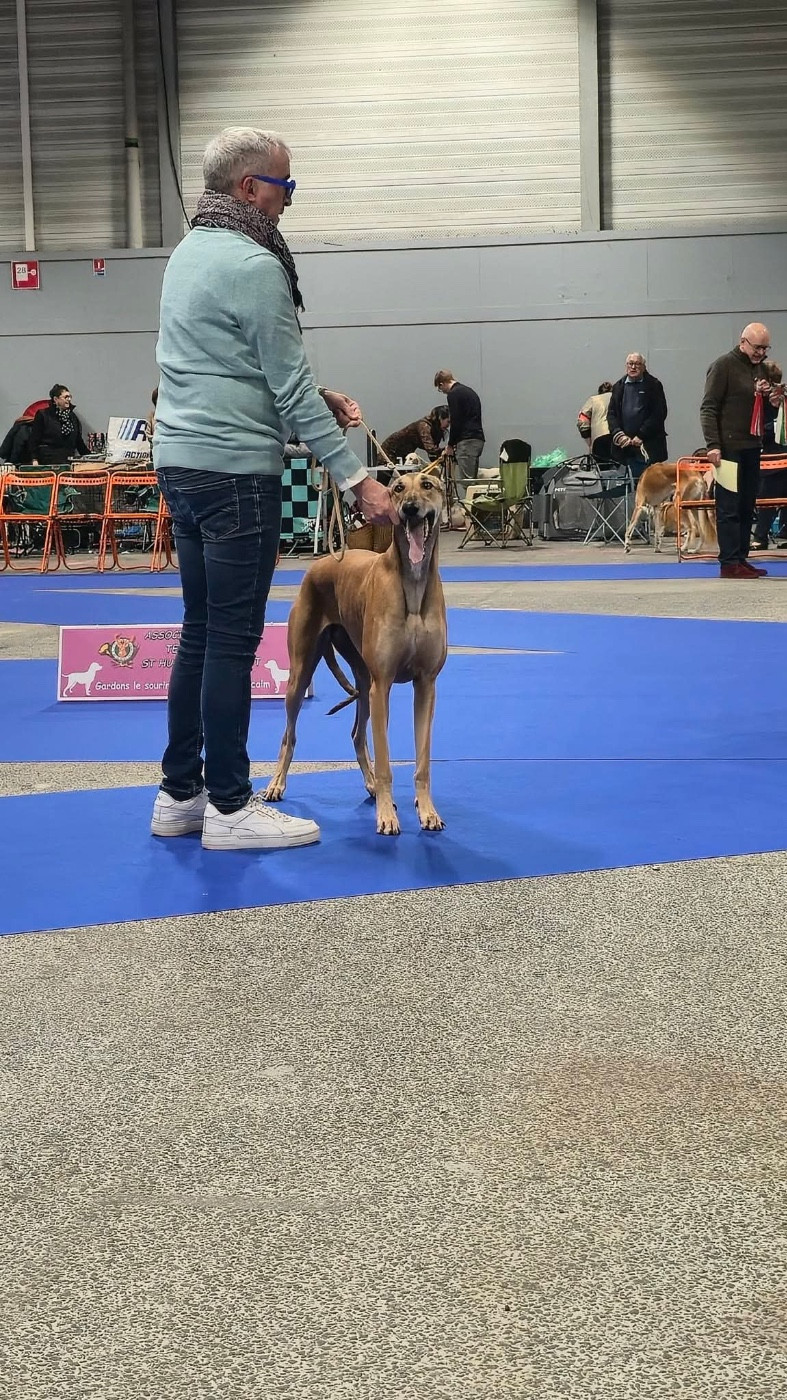 Des Terres De Moïra - NDS Nantes 2025