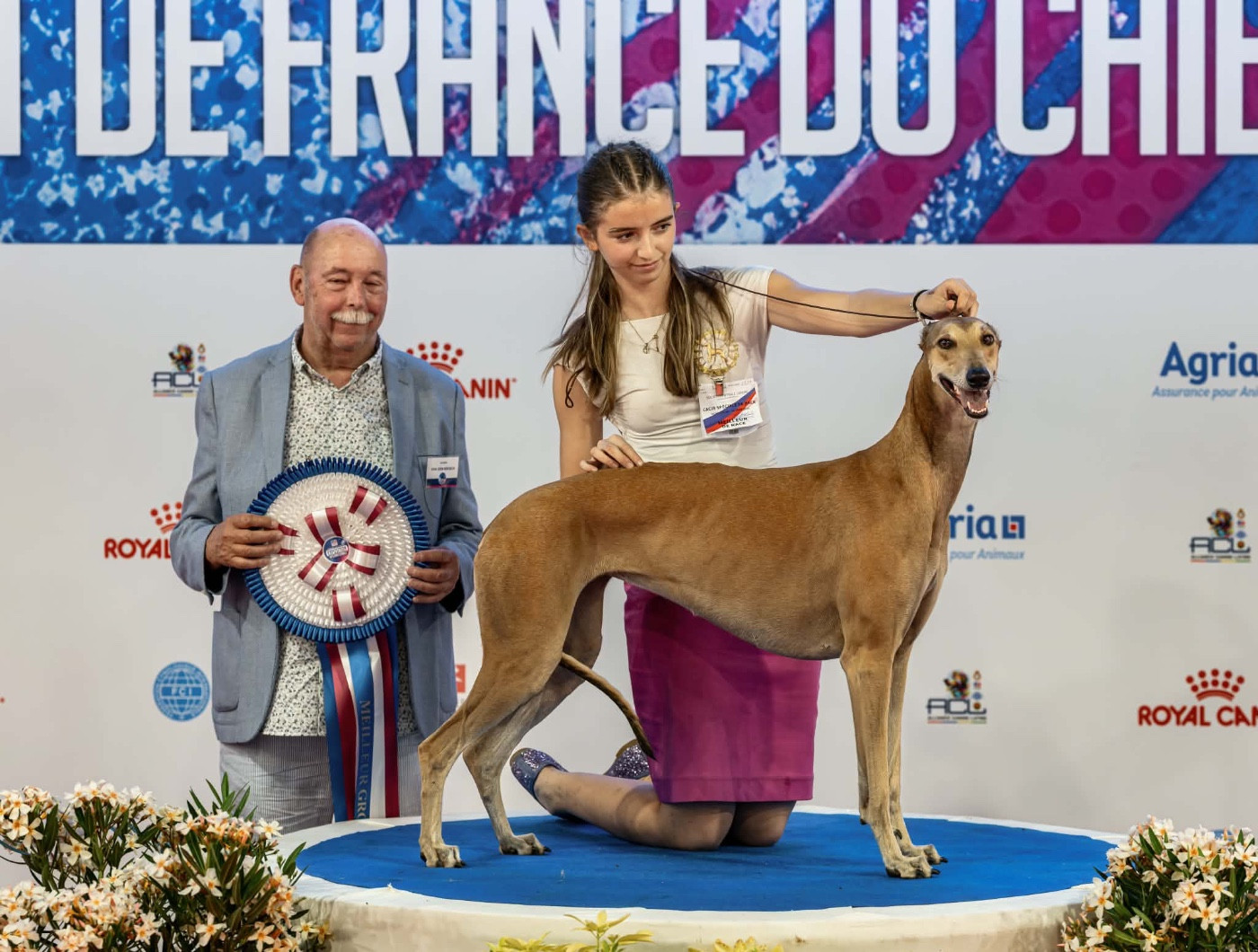 BOG et BOB au Championnat de France 2026