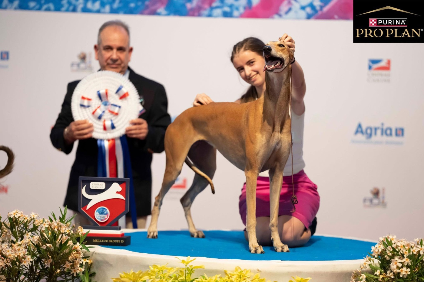 BOG et BOB au Championnat de France 2026