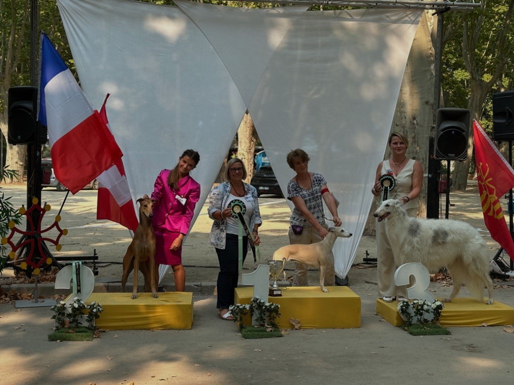 Exposition NDS Beaucaire 