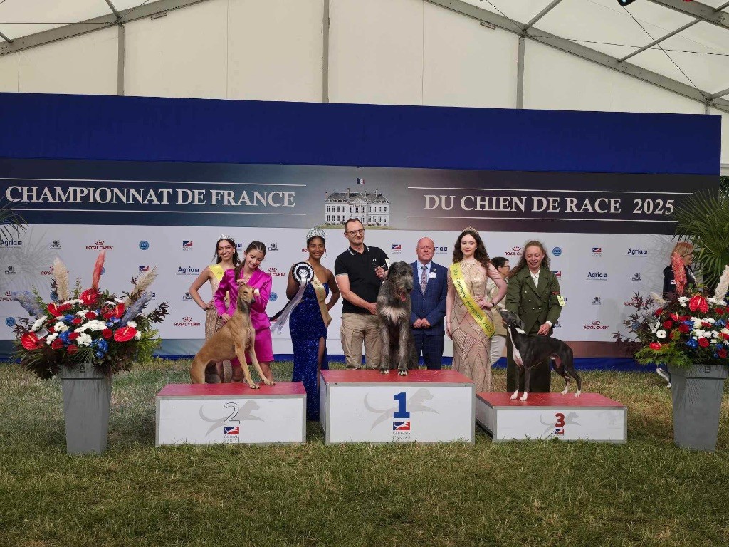 Des Terres De Moïra - Championnat de France 2025